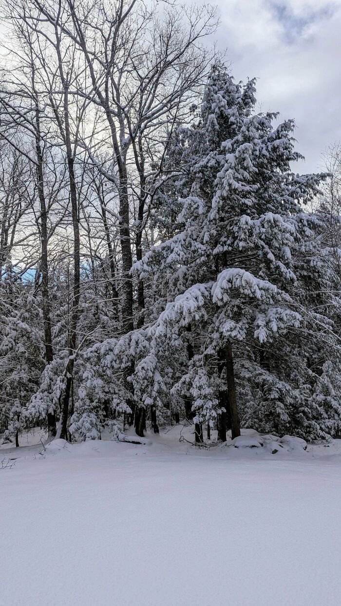 132 Photos Of Snowy Places That Look Straight Out Of A Fairytale