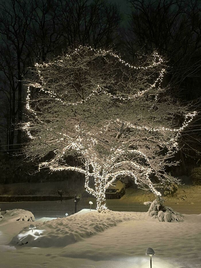 132 Photos Of Snowy Places That Look Straight Out Of A Fairytale