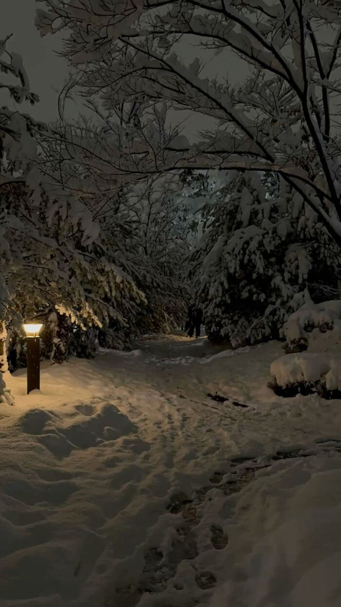 132 Photos Of Snowy Places That Look Straight Out Of A Fairytale