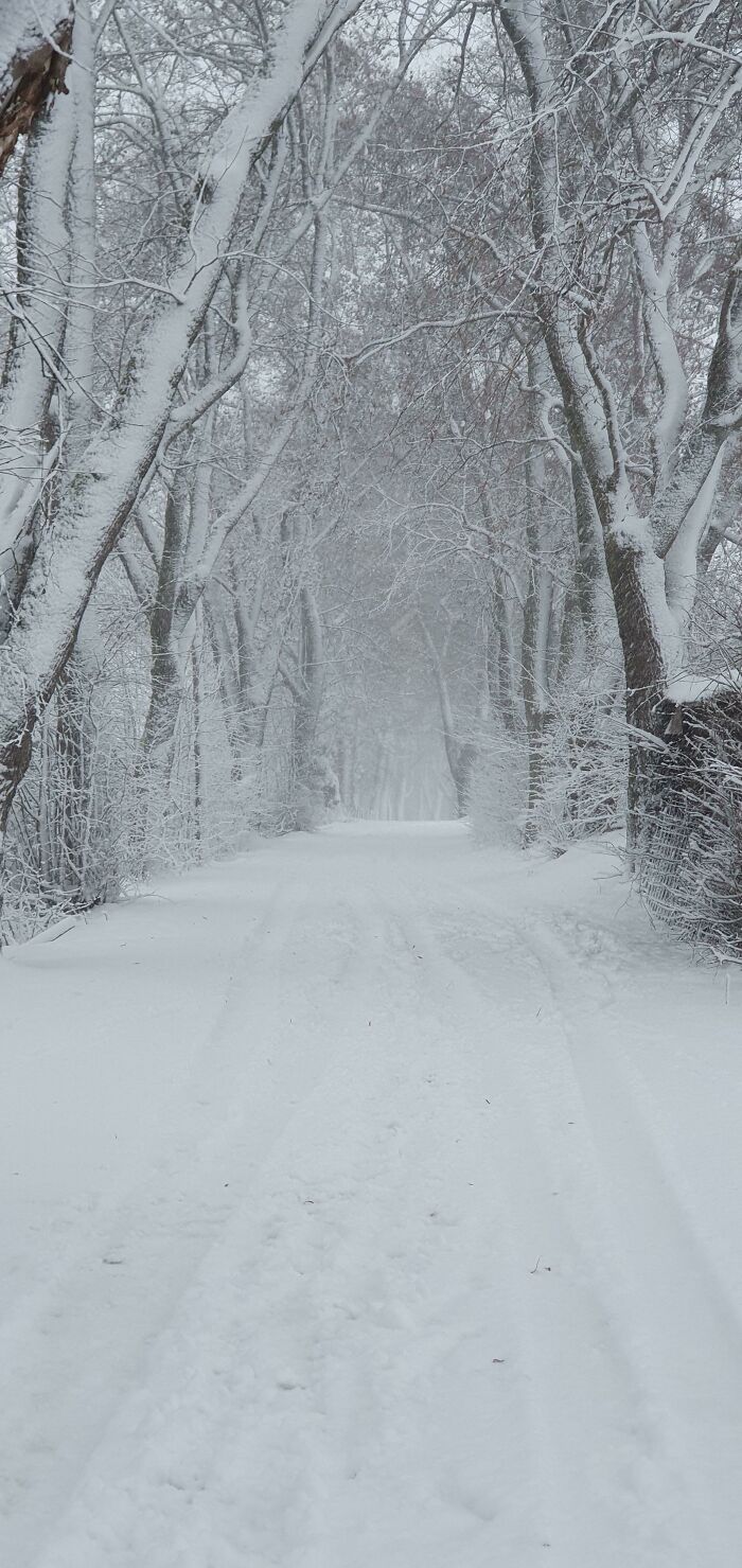 132 Photos Of Snowy Places That Look Straight Out Of A Fairytale