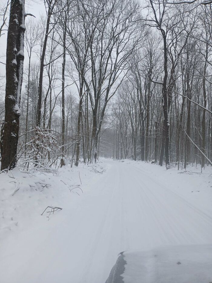 132 Photos Of Snowy Places That Look Straight Out Of A Fairytale