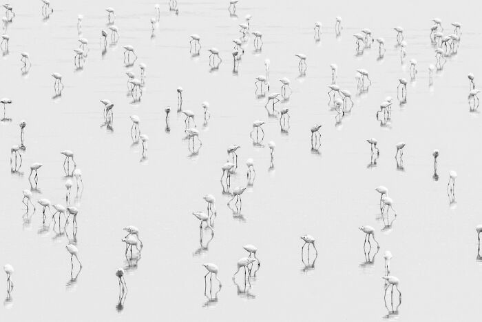 Exposure One Awards Announce 43 Non-Professional Nature Contest Winners Featuring Land, Minimalism, And Form