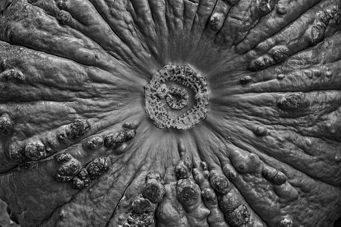 Exposure One Awards Announce 43 Non-Professional Nature Contest Winners Featuring Land, Minimalism, And Form