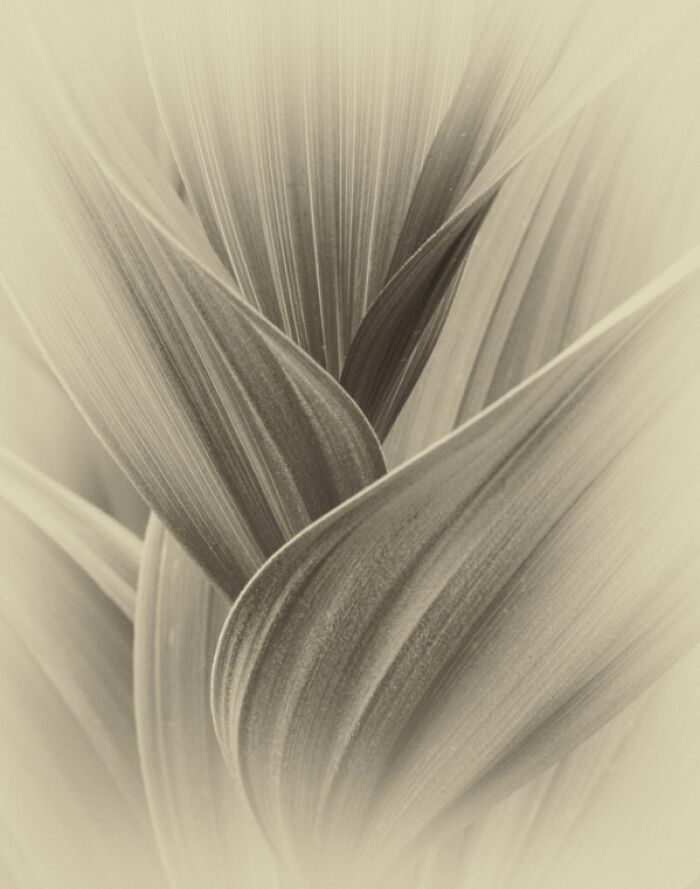 Exposure One Awards Announce 43 Non-Professional Nature Contest Winners Featuring Land, Minimalism, And Form