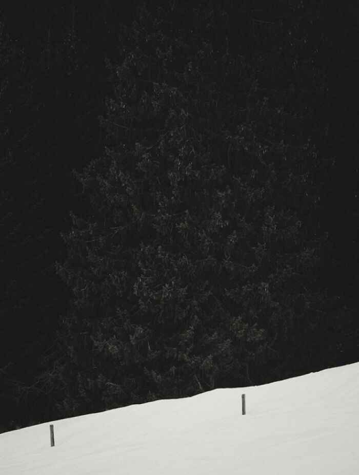 Exposure One Awards Announce 43 Non-Professional Nature Contest Winners Featuring Land, Minimalism, And Form