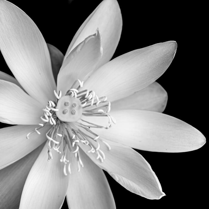 Exposure One Awards Announce 43 Non-Professional Nature Contest Winners Featuring Land, Minimalism, And Form