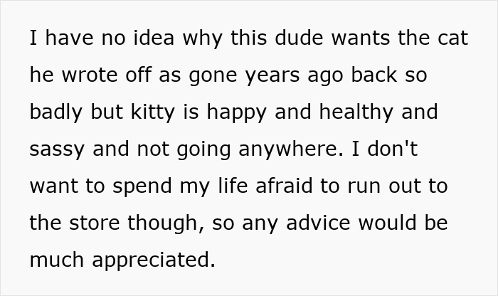 Lost Cat Goes From Street Survivor To Family Royalty, Scammy &ldquo;Owner&rdquo; Demands Him Back Years Later