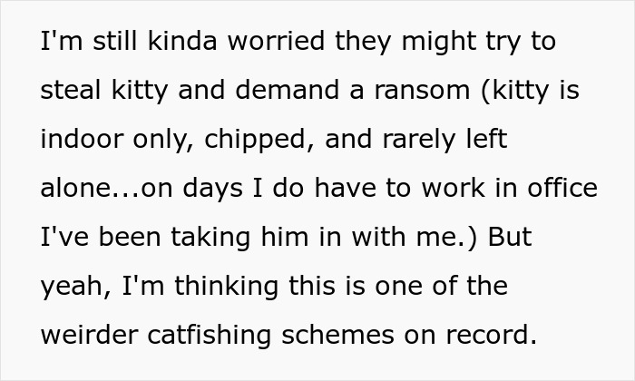 Lost Cat Goes From Street Survivor To Family Royalty, Scammy &ldquo;Owner&rdquo; Demands Him Back Years Later