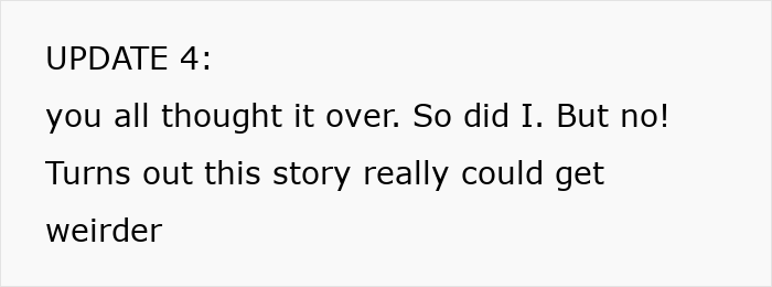 Lost Cat Goes From Street Survivor To Family Royalty, Scammy &ldquo;Owner&rdquo; Demands Him Back Years Later