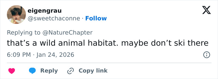 Viral Video Shows Skier Viciously Attacked By Snow Leopard After Trying To Take A Selfie With It Viral Video Shows Skier Viciously Attacked By Snow Leopard After Trying To Take A Selfie With It