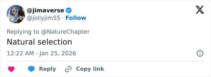 Viral Video Shows Skier Viciously Attacked By Snow Leopard After Trying To Take A Selfie With It Viral Video Shows Skier Viciously Attacked By Snow Leopard After Trying To Take A Selfie With It