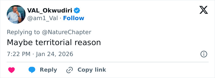 Viral Video Shows Skier Viciously Attacked By Snow Leopard After Trying To Take A Selfie With It Viral Video Shows Skier Viciously Attacked By Snow Leopard After Trying To Take A Selfie With It