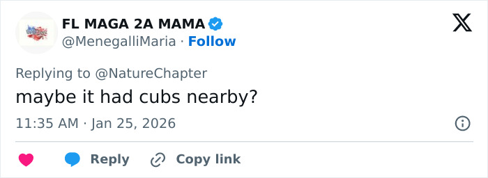 Viral Video Shows Skier Viciously Attacked By Snow Leopard After Trying To Take A Selfie With It Viral Video Shows Skier Viciously Attacked By Snow Leopard After Trying To Take A Selfie With It