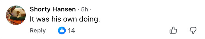 “Should Be In Jail”: Royal Author Reveals The Country Prince Andrew Will Move To After Eviction “Should Be In Jail”: Royal Author Reveals The Country Prince Andrew Will Move To After Eviction