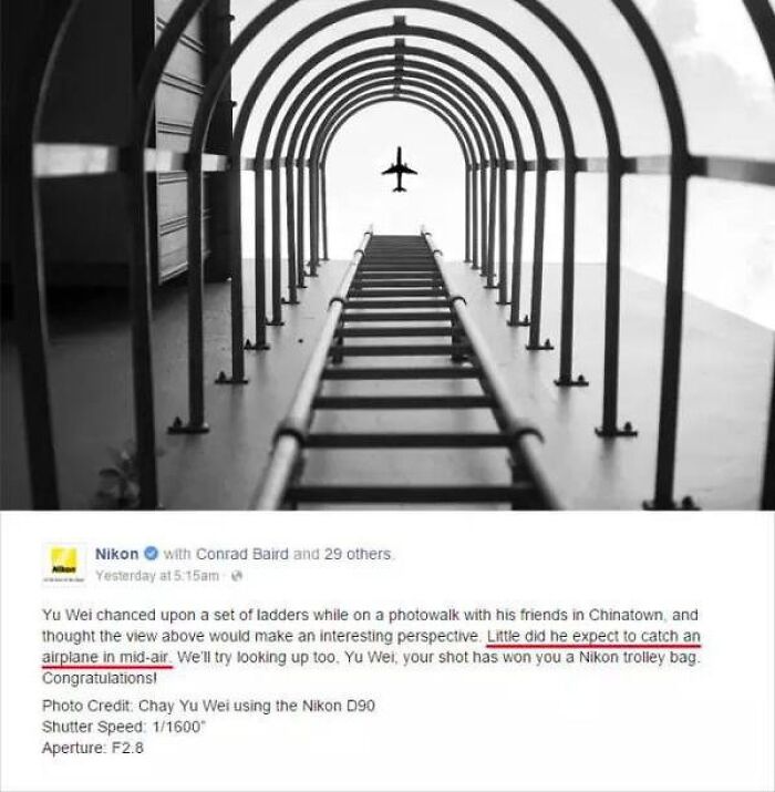 47 Times The Internet Fell For A Photo That Wasn’t What It Seemed 47 Times The Internet Fell For A Photo That Wasn’t What It Seemed