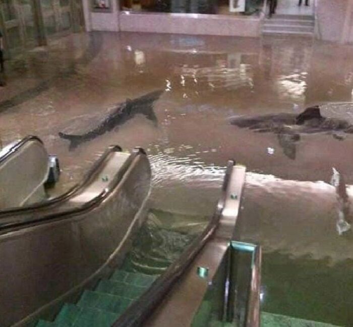 47 Times The Internet Fell For A Photo That Wasn’t What It Seemed 47 Times The Internet Fell For A Photo That Wasn’t What It Seemed