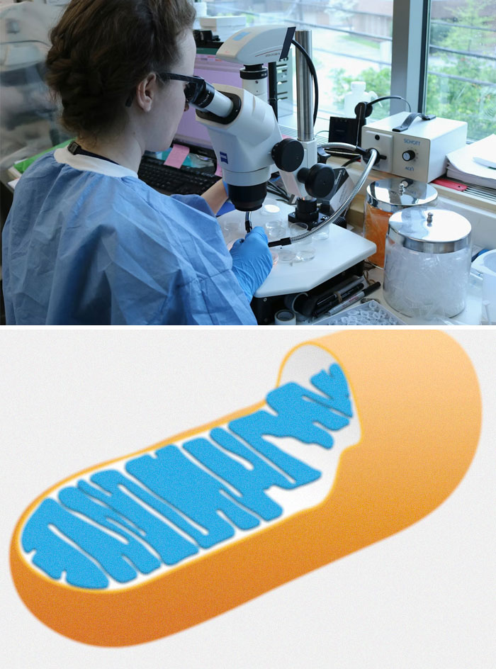 62 Medical Facts That Sound Made Up Even Though They Are True 62 Medical Facts That Sound Made Up Even Though They Are True