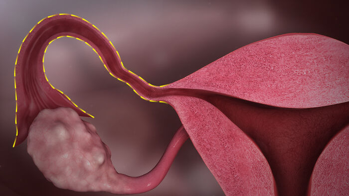 62 Medical Facts That Sound Made Up Even Though They Are True 62 Medical Facts That Sound Made Up Even Though They Are True