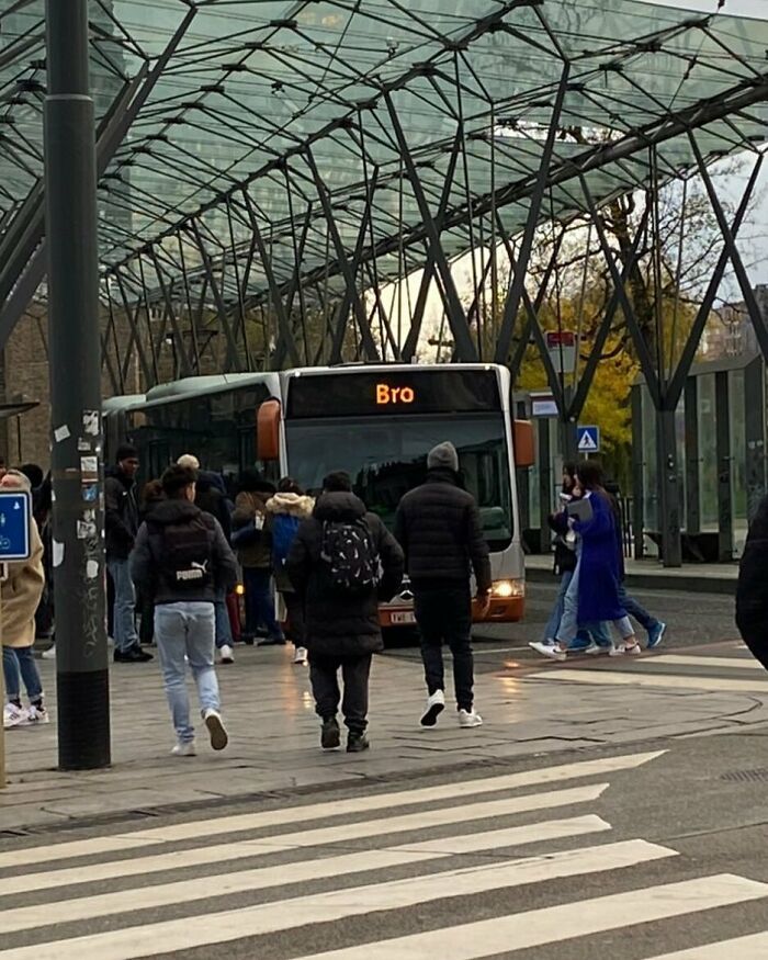 95 Of The Weirdest And Most Unhinged Things Seen On The Streets Of Brussels 95 Of The Weirdest And Most Unhinged Things Seen On The Streets Of Brussels