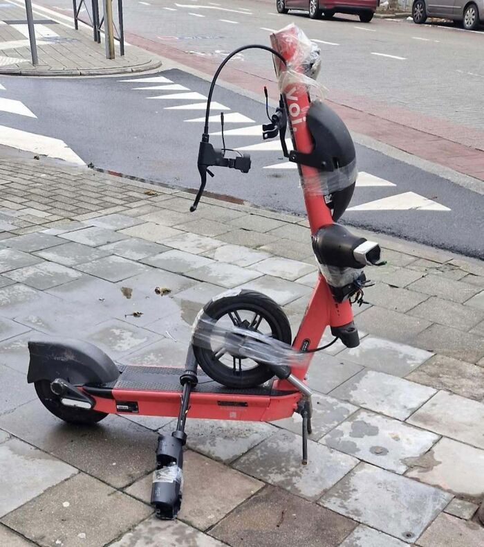 95 Of The Weirdest And Most Unhinged Things Seen On The Streets Of Brussels 95 Of The Weirdest And Most Unhinged Things Seen On The Streets Of Brussels