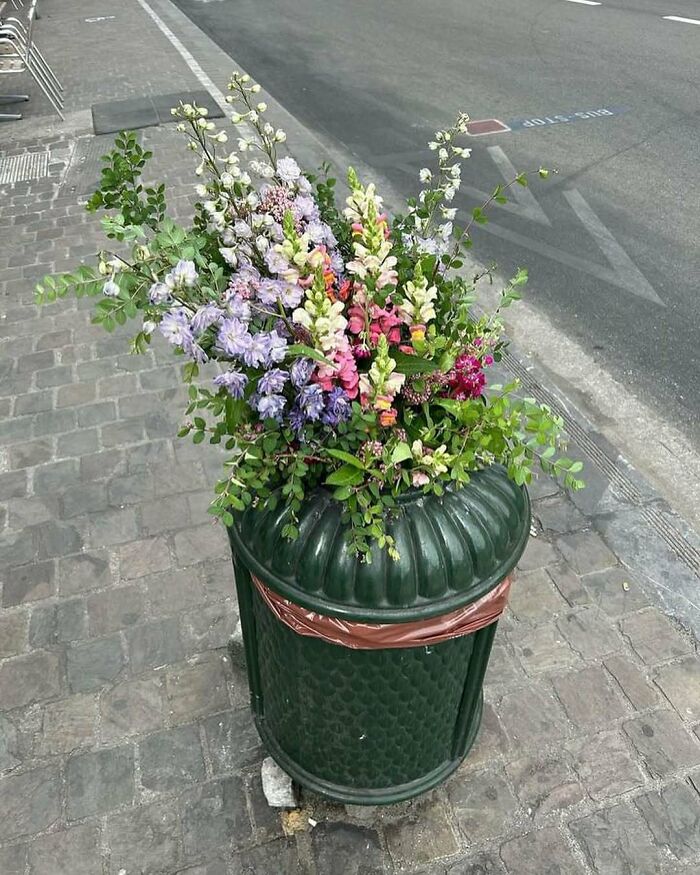 95 Of The Weirdest And Most Unhinged Things Seen On The Streets Of Brussels 95 Of The Weirdest And Most Unhinged Things Seen On The Streets Of Brussels