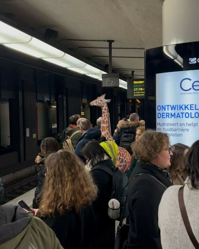 95 Of The Weirdest And Most Unhinged Things Seen On The Streets Of Brussels 95 Of The Weirdest And Most Unhinged Things Seen On The Streets Of Brussels