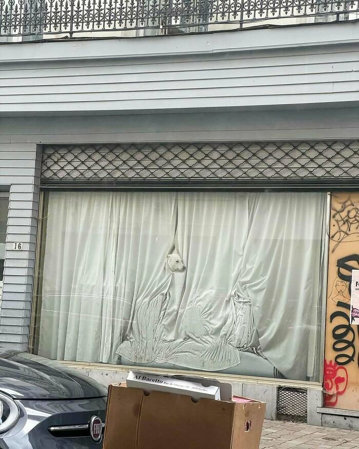 95 Of The Weirdest And Most Unhinged Things Seen On The Streets Of Brussels 95 Of The Weirdest And Most Unhinged Things Seen On The Streets Of Brussels