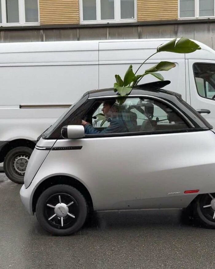 95 Of The Weirdest And Most Unhinged Things Seen On The Streets Of Brussels 95 Of The Weirdest And Most Unhinged Things Seen On The Streets Of Brussels