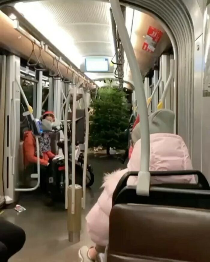 95 Of The Weirdest And Most Unhinged Things Seen On The Streets Of Brussels 95 Of The Weirdest And Most Unhinged Things Seen On The Streets Of Brussels