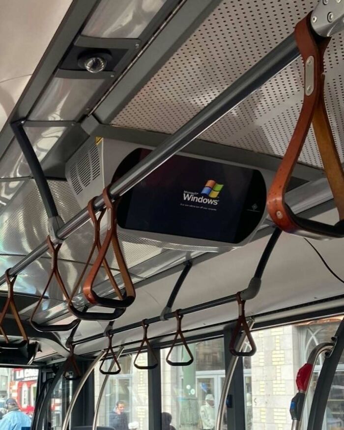 95 Of The Weirdest And Most Unhinged Things Seen On The Streets Of Brussels 95 Of The Weirdest And Most Unhinged Things Seen On The Streets Of Brussels