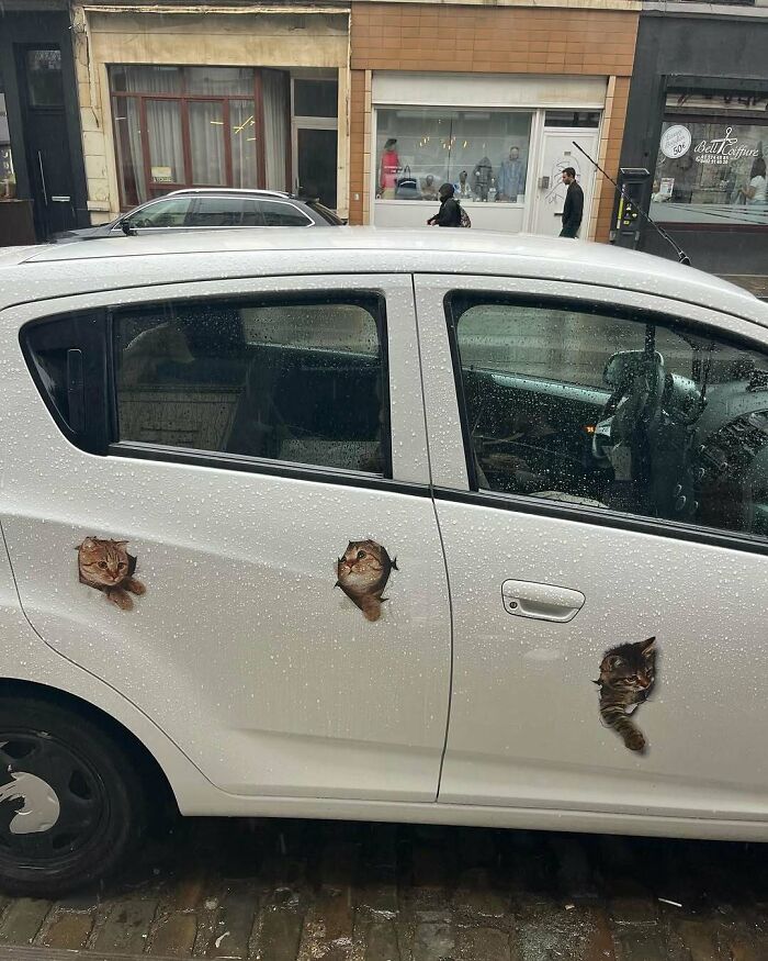 95 Of The Weirdest And Most Unhinged Things Seen On The Streets Of Brussels 95 Of The Weirdest And Most Unhinged Things Seen On The Streets Of Brussels