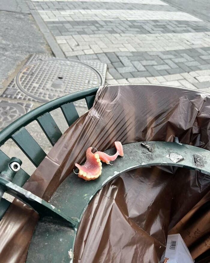 95 Of The Weirdest And Most Unhinged Things Seen On The Streets Of Brussels 95 Of The Weirdest And Most Unhinged Things Seen On The Streets Of Brussels