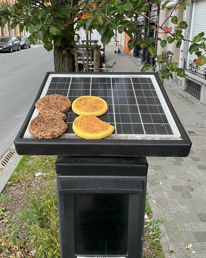 95 Of The Weirdest And Most Unhinged Things Seen On The Streets Of Brussels 95 Of The Weirdest And Most Unhinged Things Seen On The Streets Of Brussels