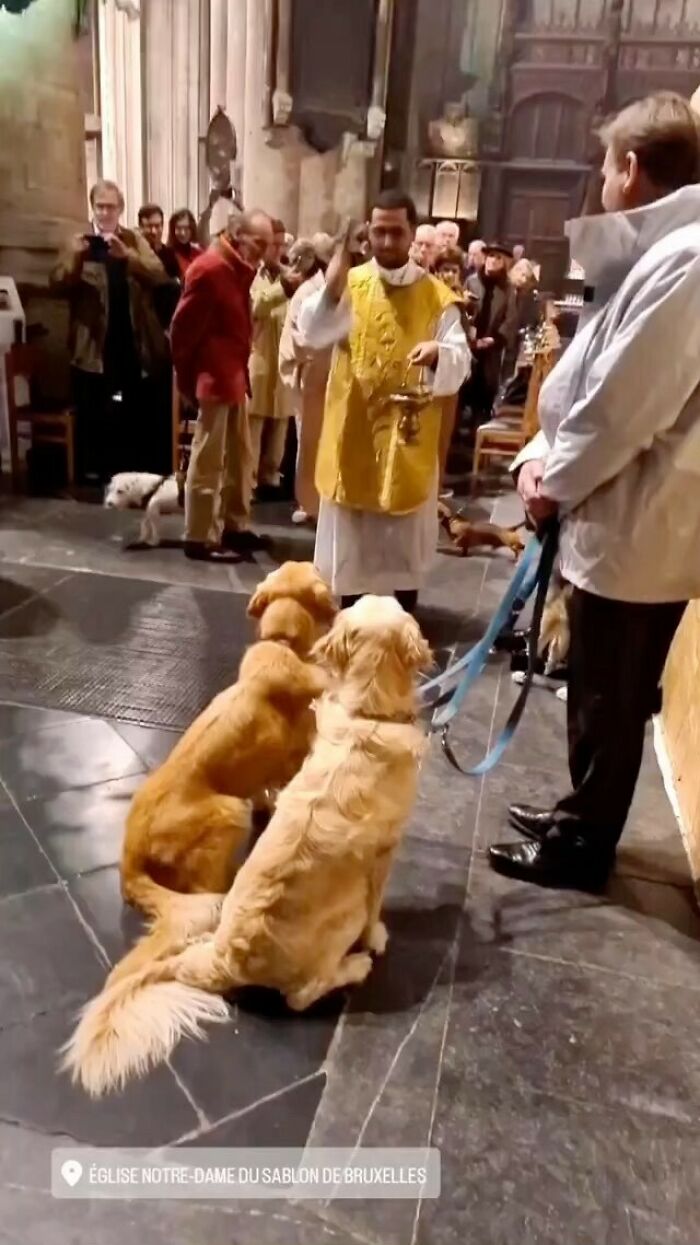 95 Of The Weirdest And Most Unhinged Things Seen On The Streets Of Brussels 95 Of The Weirdest And Most Unhinged Things Seen On The Streets Of Brussels