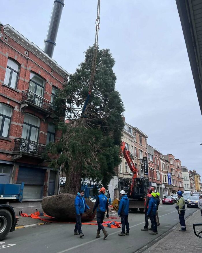 95 Of The Weirdest And Most Unhinged Things Seen On The Streets Of Brussels 95 Of The Weirdest And Most Unhinged Things Seen On The Streets Of Brussels
