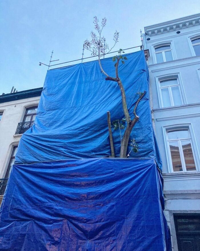 95 Of The Weirdest And Most Unhinged Things Seen On The Streets Of Brussels 95 Of The Weirdest And Most Unhinged Things Seen On The Streets Of Brussels