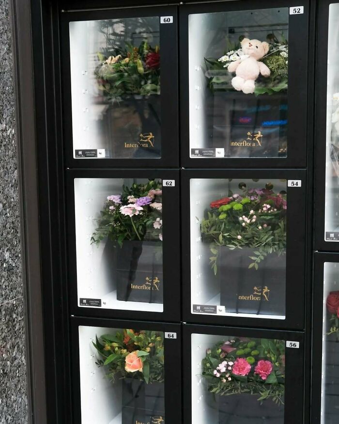 95 Of The Weirdest And Most Unhinged Things Seen On The Streets Of Brussels 95 Of The Weirdest And Most Unhinged Things Seen On The Streets Of Brussels