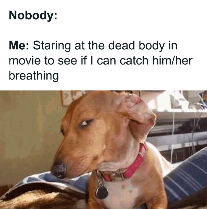 80 Relatable Memes That Hit Way Too Close To Home