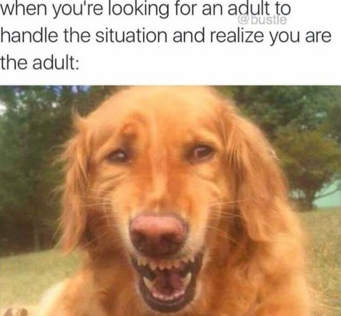 80 Relatable Memes That Hit Way Too Close To Home