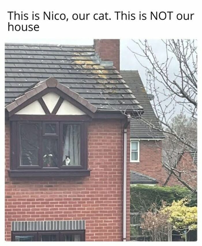 80 Relatable Memes That Hit Way Too Close To Home