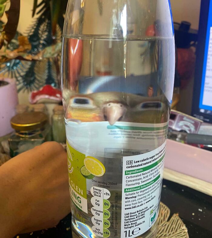 79 Times People Were Rushing To Take A Pic Of Animals Making Silly Faces (New Pics) 79 Times People Were Rushing To Take A Pic Of Animals Making Silly Faces (New Pics)