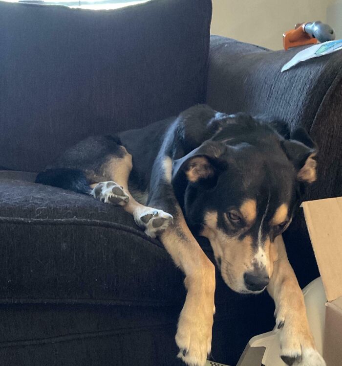 79 Times People Were Rushing To Take A Pic Of Animals Making Silly Faces (New Pics) 79 Times People Were Rushing To Take A Pic Of Animals Making Silly Faces (New Pics)