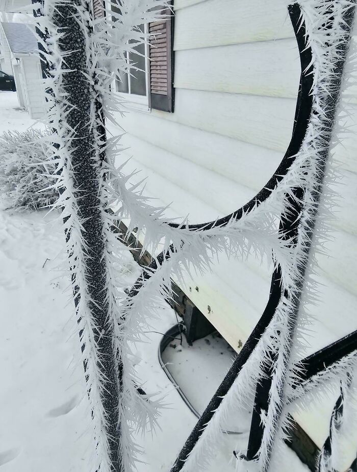 94 Photos Of A Snowstorm Hitting The U.S. That Might Make You Want To Hibernate