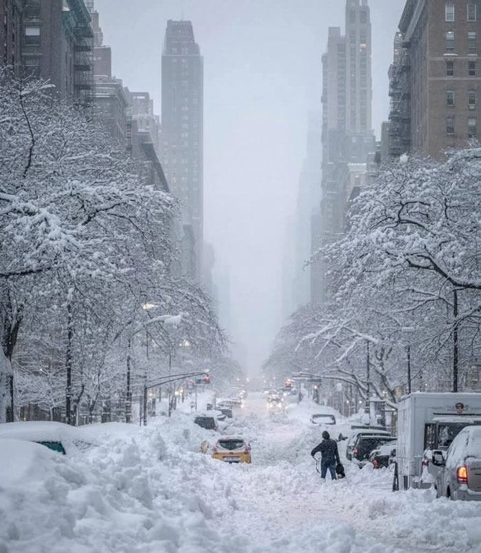 94 Photos Of A Snowstorm Hitting The U.S. That Might Make You Want To Hibernate
