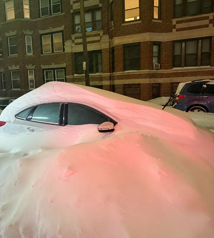 94 Photos Of A Snowstorm Hitting The U.S. That Might Make You Want To Hibernate
