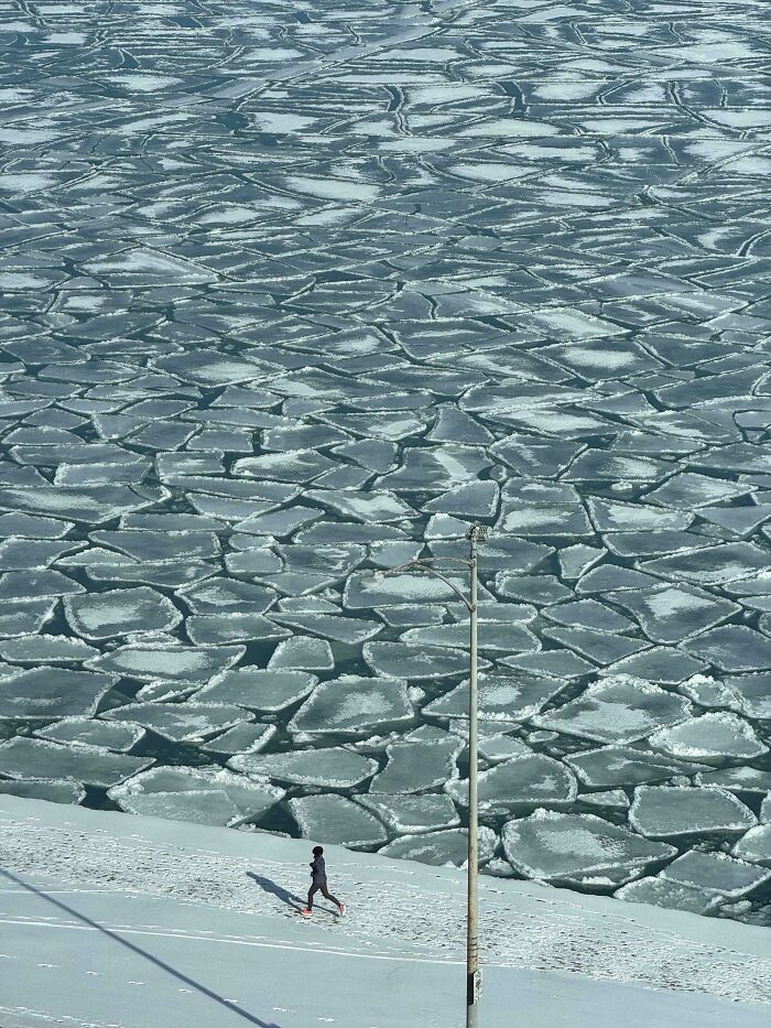 94 Photos Of A Snowstorm Hitting The U.S. That Might Make You Want To Hibernate