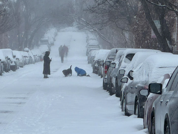 94 Photos Of A Snowstorm Hitting The U.S. That Might Make You Want To Hibernate