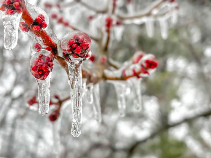 94 Photos Of A Snowstorm Hitting The U.S. That Might Make You Want To Hibernate