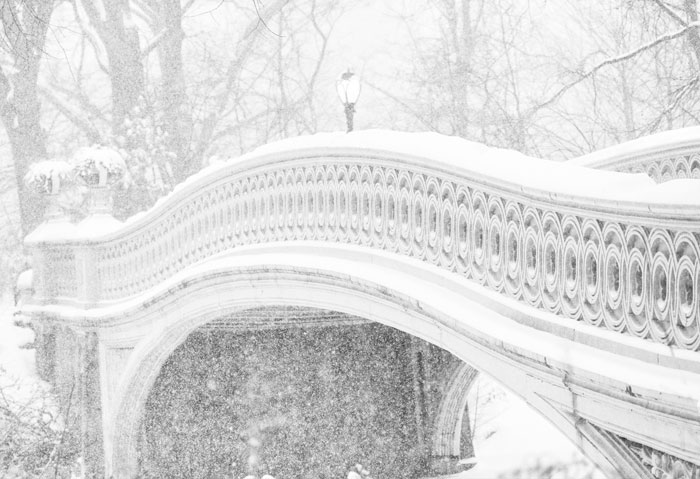 94 Photos Of A Snowstorm Hitting The U.S. That Might Make You Want To Hibernate