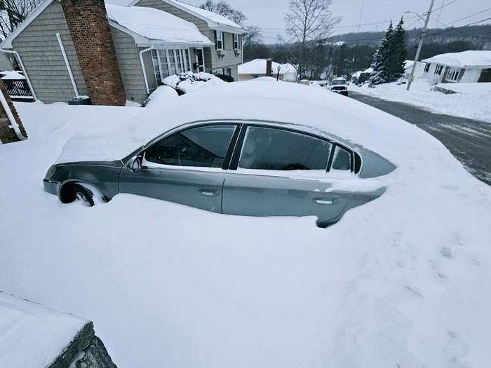 94 Photos Of A Snowstorm Hitting The U.S. That Might Make You Want To Hibernate